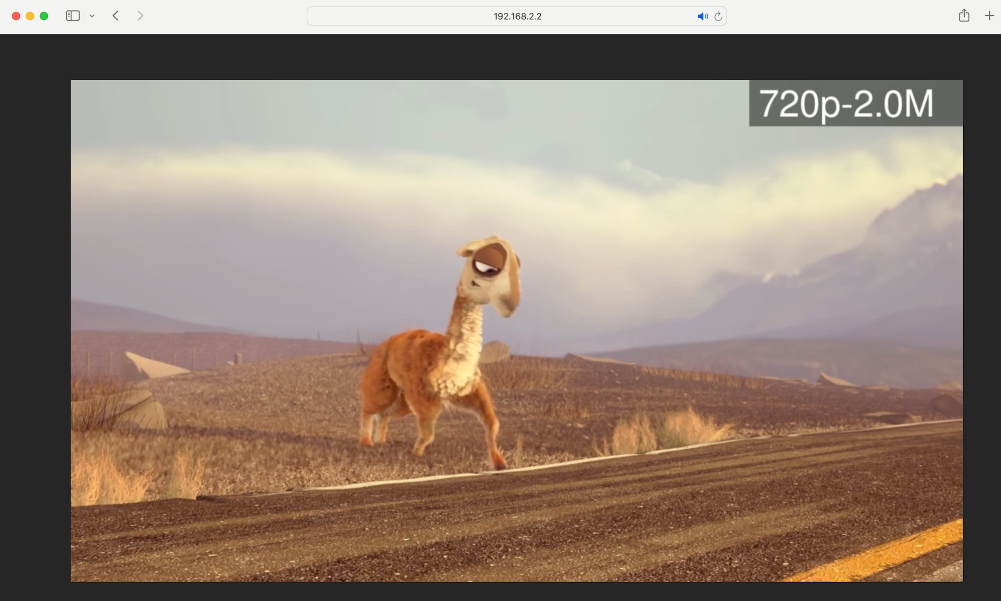 Safari playback